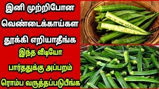 இனி முத்திபோன வெண்டைக்காய்கள தூக்கி போடாதீங்க அப்பறம் ரொம்ப வருத்தபடுவீங்கவத்தல் Fathus Samayal