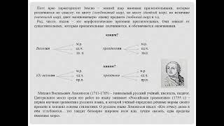 Имя прилагательное. М В Ломоносов.