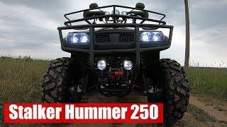 Stalker Hummer 250. Обзор квадроцикла плюсы и минусы модели