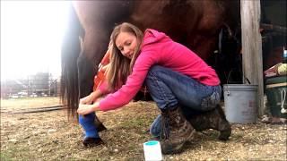 Farm Girl Friday #54 Horse Injury leads to Proud Flesh Growth