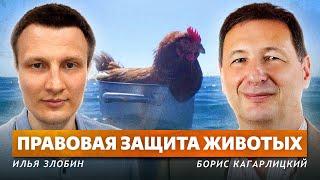 Скотный двор Илья Злобин Борис Кагарлицкий