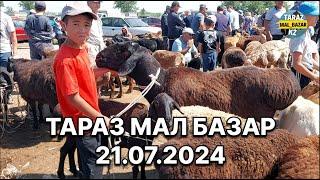 ҚОЙ БАҒАСЫ 21.07.2024  МАЛ БАЗАР ТАРАЗ  MAL BAZAR 