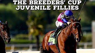 The Grade One $2000000 Breeders’ Cup Juvenile Fillies Won By Just F Y I