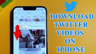 How to download Twitter videos on iphone 13