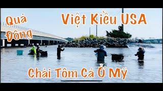 Quá Đông Bà Con Việt Kiều USA Ở Mỹ Ra Biển Chài Tôm Phần 1  GIẤC MƠ  MỸ #138