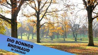 Die Bonner Rheinaue - japanischer Garten Löffelwald und Blindengarten