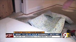 Dont Waste Your Money What to do if your basement floods