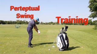 Perpetual motion swing training.