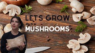 Starting a Mushroom Grow