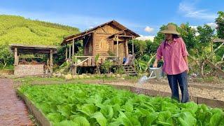 Building A Farming Life In The Forest Building A Wood Stoves Gardening Grow Vegetable