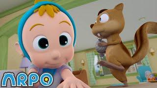 Squirrel Madness  ARPO The Robot Classics  Full Episode  Baby Compilation  Funny Kids Cartoons