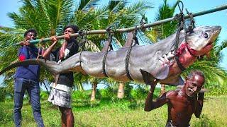 300 pounds SEA MONSTER DOLPHIN SHARK FISH CUTTING SKILL  VILLAGE STYLE SURA PUTTU Traditional food