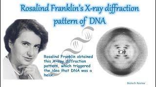 Rosalind Franklins X-ray Diffraction Pattern of DNA explained   DNA structure