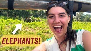 My First Safari in Sri Lanka  