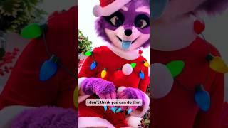 MERRY CHRISTMAS  #furry #fursuit #furrychristmas #boxingday #furryfandom #fursuiting