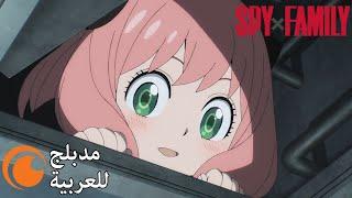 آنيا في البيت  SPY x FAMILY مدبلج للعربية