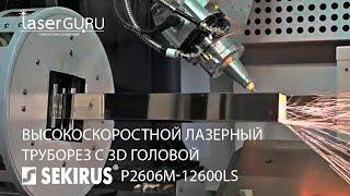 Высокоскоростной лазерный труборез c 3D головой  SEKIRUS P2606M 12600LS для труб диам до 120 мм