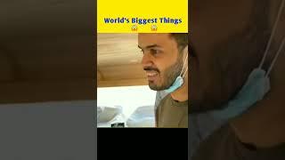 दुनिया की सबसे बड़ी चिजें - Worlds Biggest Things #shorts #ytshorts Factsandfunnys