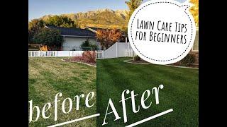 DIY How to fix Ugly lawn to Ultimate lawn - 4 easy steps for beginners