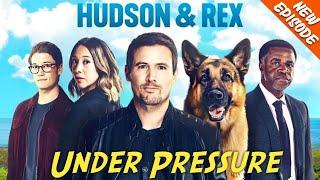 Hudson & Rex New Season HD 1080p 2024 ‍️ Under Pressure  Best American Police And Crime Movies