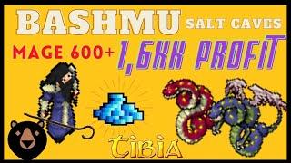 GUIA DE HUNT BASHMU PARA MAGES LEVEL 600+ 16KK PROFITHORA