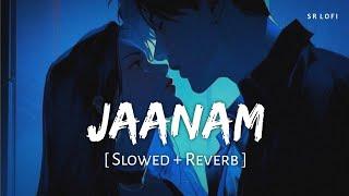 Jaanam Slowed + Reverb  Vishal Mishra  Bad Newz  Vicky Kaushal Triptii Dimri  SR Lofi