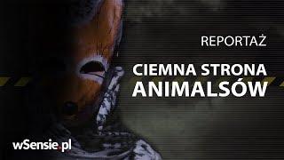 Ciemna strona Animalsów. Co organizacje prozwierzęce chcą przed Tobą ukryć?