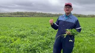 Ken Gill talks about the role and management of red clover on his farm