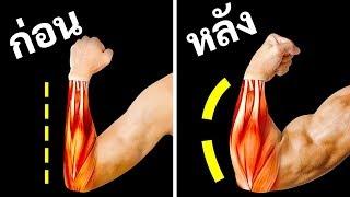 ท่าออกกำลังกายแค่ 14 ท่าที่คุณต้องทำเพื่อปลายแขนที่ใหญ่ขึ้น