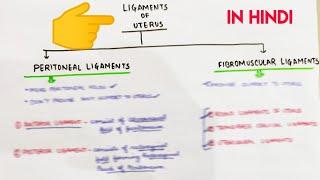 Uterus - 3  Ligaments of Uterus  Abdomen