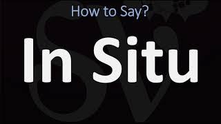 How to Pronounce In Situ? CORRECTLY