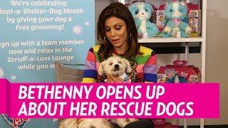 Bethenny Frankel Says Dennis Shields Memory Lives On Through Her Dogs