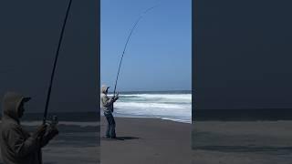 Mancing #mancingpasiran #surffishing #fishing