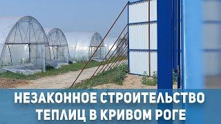 Новости Кривой Рог незаконное строительство теплиц продолжение  1kr.ua