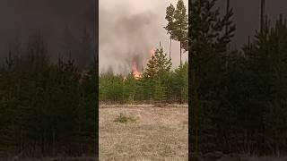 Добровольцы и волонтеры тушат пожары в Свердловской области