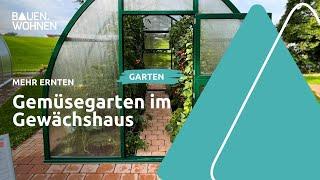 Gewächshaus kaufen Standort und Anbau von Gemüse I BAUEN & WOHNEN