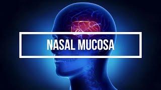 Nasal Mucosa