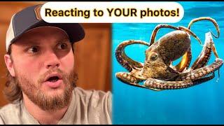 Critiquing YOUR wildlife photos