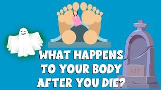 What happens to your body after you die  The Stages of Human Decomposition  Video for kids