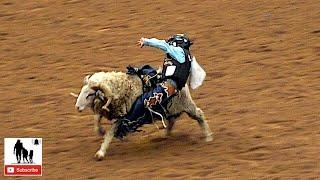 Mutton Bustin - 2019 Junior Bull Riding National Finals #NJBRA - Round 2