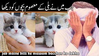 Jab maine billike masoom bacche dekhen  Mufti Tariq Masood