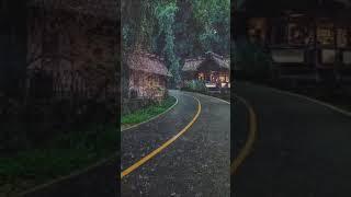 Beautiful Rain Scene  Rain video status  Rainy Season Status  Rain Feel  Videos Hub