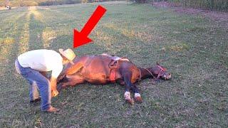 Man Finds Horse Abandoned In The Forest So He Looks Down And Immediately Asks For Help