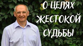 О целях ЖЕСТОКОЙ судьбы. Торсунов лекции