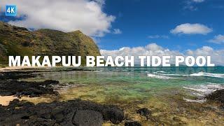 Makapuu Beach Tide Pool  Waimanalo ️ Makapuu Point Lookout ️ East Oahu  Hawaii 4K