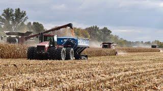 672000 LBS of CORN PER HOUR. Shelling some high bushel corn with three class 9 combines.