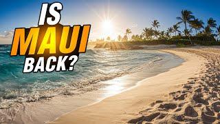 The Truth About Maui Travel in 2024 
