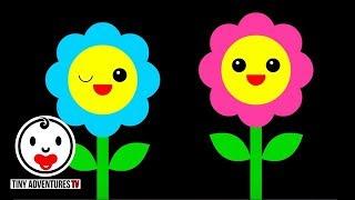 Baby Sensory - Dance Series  Flowers - High Contrast Color Animation fun video for baby