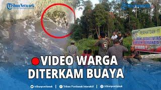  Detik-detik Seorang Warga Diterkam Buaya saat Cuci Kaki di Sungai