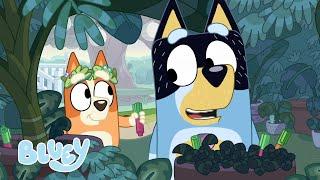 Le printemps avec Bluey  Bluey Français Chaîne Officielle